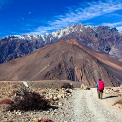 Jomsom 4 hotels