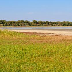 Wallern im Burgenland 3 pet-friendly hotel