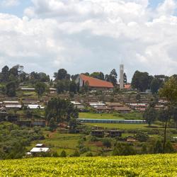 Kericho 11 hotelli