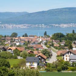 Cudrefin 4 holiday rentals