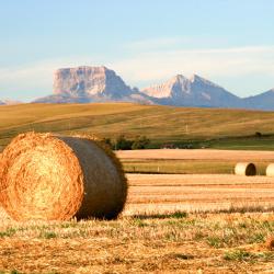 Cardston 3 hotely