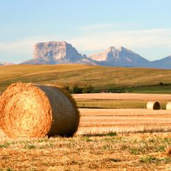 Cardston 2 hotéis