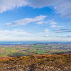 Roundwood 5 cheap hotels