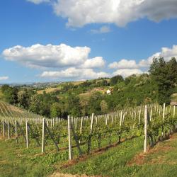 Cocconato 8 pet-friendly hotels