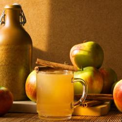 Astigarraga 5 hoteles que aceptan mascotas