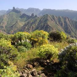 Cactus Host, Las Palmas de Gran Canaria (updated prices 2026)