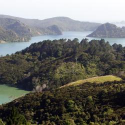 Whangaroa 4 ubytování v soukromí
