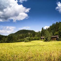 Lampeland Atostogų būstai (6)