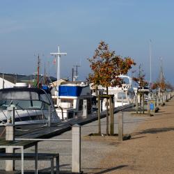 Bogense 3 B&Bs