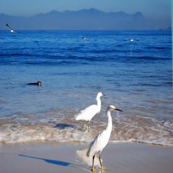 Caiobá 3 plážové hotely