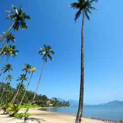 Canavieiras 35 hotels