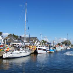 Vitte 7 Ferienwohnungen