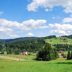 Jaworzynka 4 cabins
