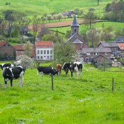 Klimmen 9 cheap hotels