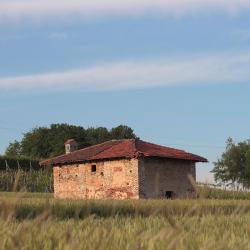 Savigliano 38 hotels