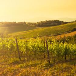 Castelnuovo Berardenga 5 romantic hotels