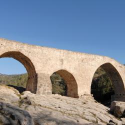 Berga 11 pet-friendly hotels