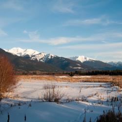 Valemount 3 bed and breakfasts