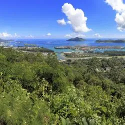 エデン島 ホテル41軒
