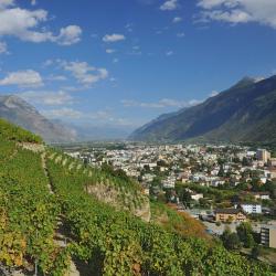 Martigny-Ville 3 cottages