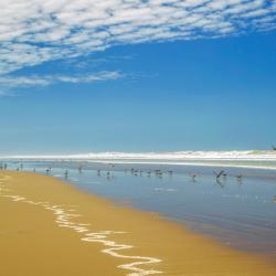 Mejia 3 hotele z parkingiem