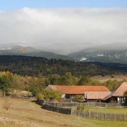 Odorheiu Secuiesc 9 guest houses