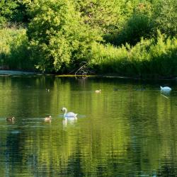 Piła 33 holiday rentals