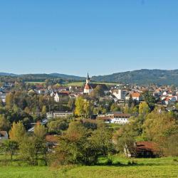 Viechtach 42 pet-friendly hotels