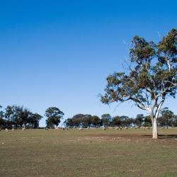 Kelmscott 10 hotel