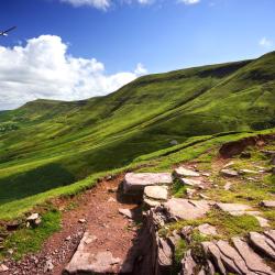 Talgarth 15 holiday homes