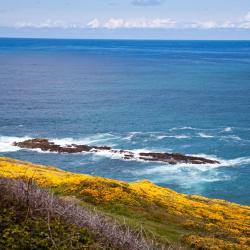 Ribeira 72 alojamientos con cocina