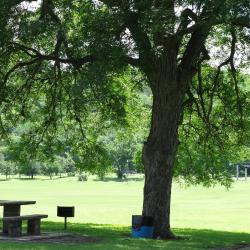 Castroville 8 hotels