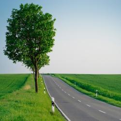 L&uuml;chow 4 hotel pet friendly