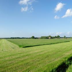 Zelhem 14 holiday rentals