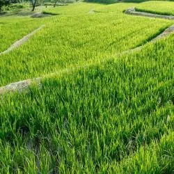 新潟市 4軒のコテージ