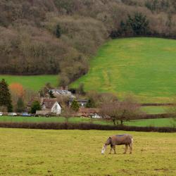 Yarcombe 1 hotel