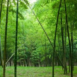 Zhongshan 48 hotels with parking