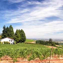Newberg 4 hotels with hot tubs