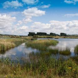 Lakenheath 6 hotelů