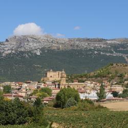 Labastida 3 pet-friendly hotels