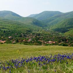 Medven 3 hot&eacute;is com estacionamento