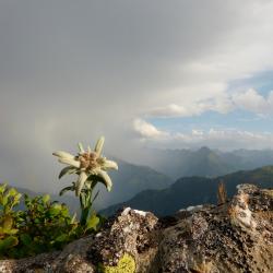 Lingenau 4 3hvězdičkové hotely