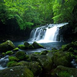 Tateshina 3 properties with onsen