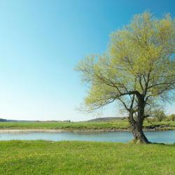Waiuku 6&nbsp;h&eacute;bergements