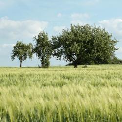 Pont-Sainte-Maxence 6 casas r&uacute;sticas