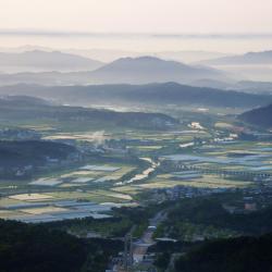 Jecheon 4 pet-friendly hotels