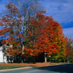 Brandon 3 cheap hotels