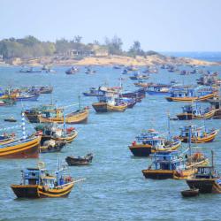 Quy Nhon 26 of the resorts