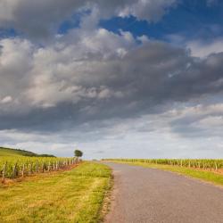 Romorantin 9 B&Bs