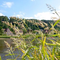 Stadt Wehlen 3 guest houses